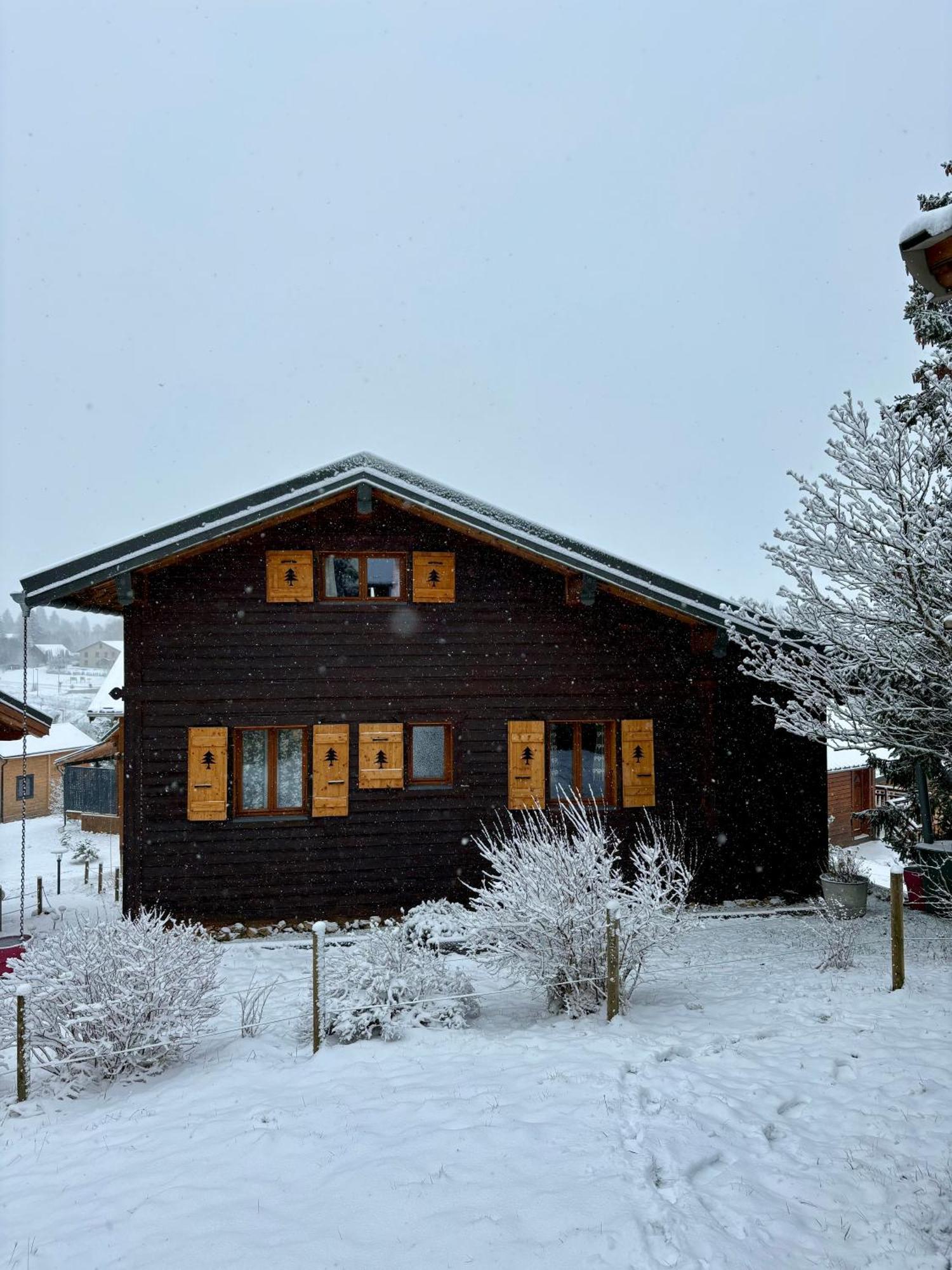 Chalet L'Embellie - Chalet Avec Piscine Partagee Saint-Laurent-en-Grandvaux Extérieur photo